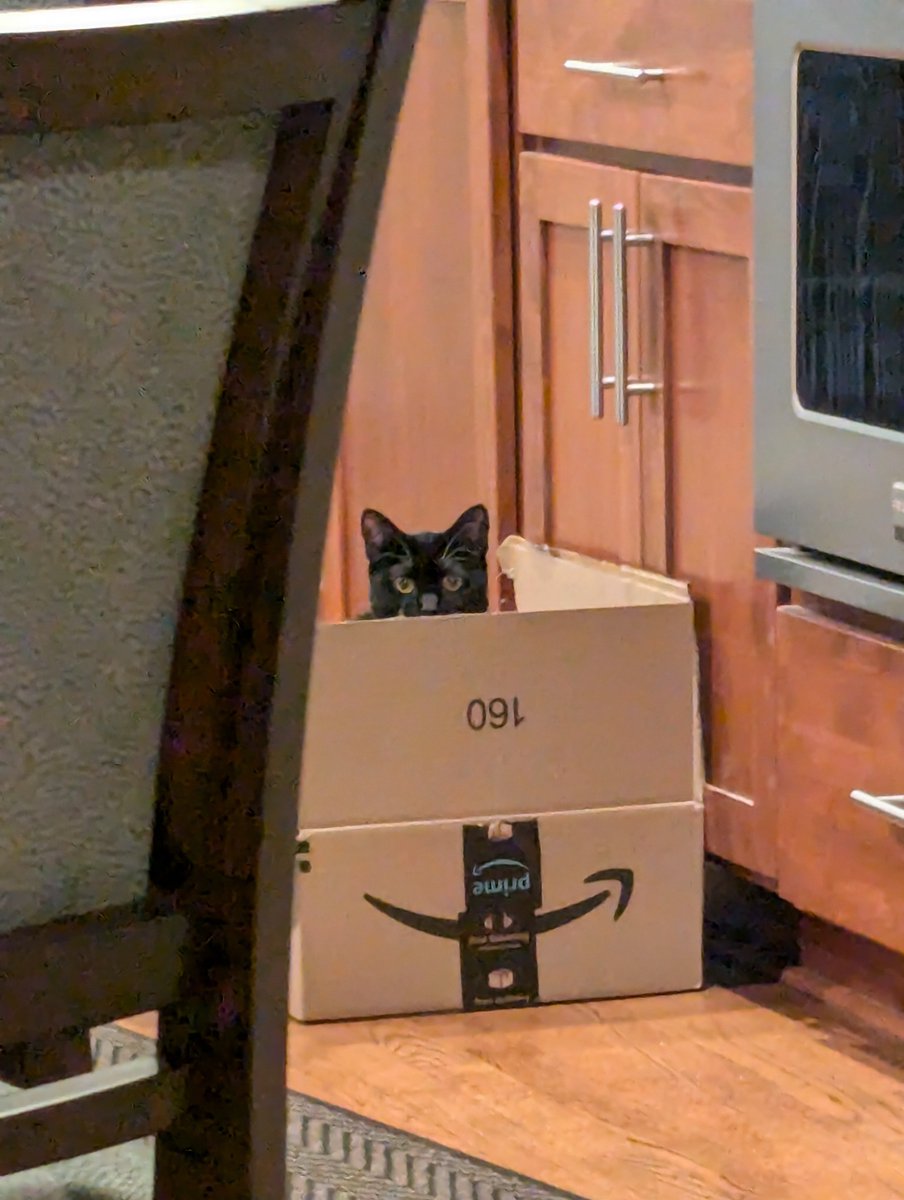 NW Editors Guild (Find us on other socials) tweet media