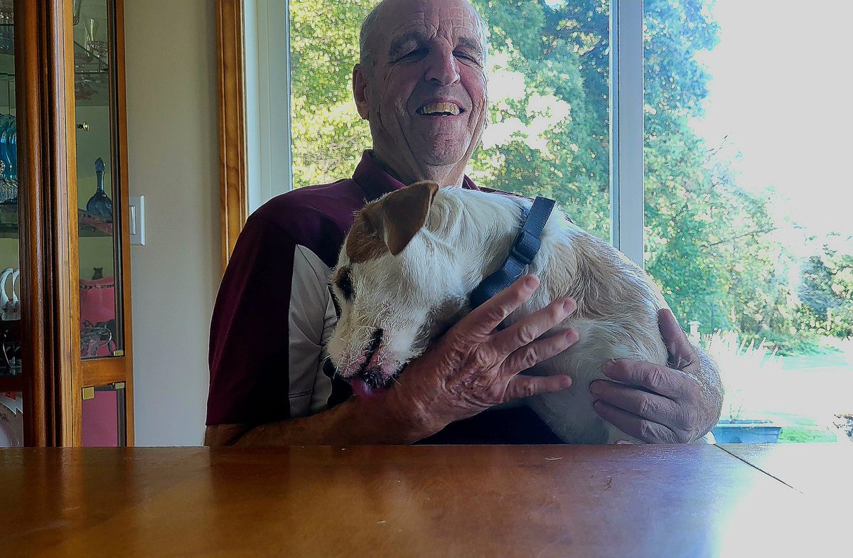 Yes, hi, hello. This is a photo of a friendly Jack Russell dog puppet named Bingo with his human, 83-year-old Dick Lundy, who's an outgoing Dexter school board member after 45 years.