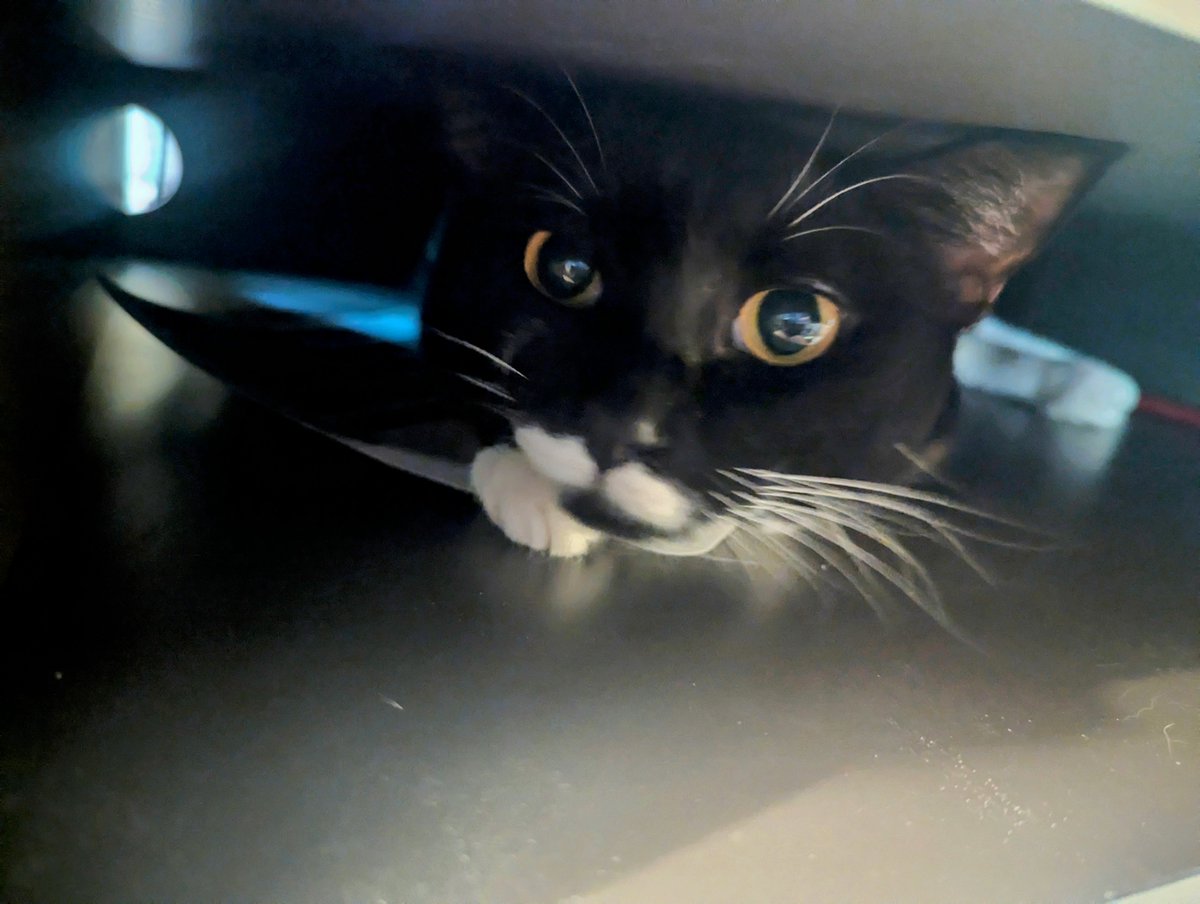 NW Editors Guild (Find us on other socials) tweet media