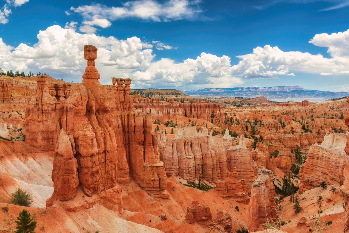 MelissaJPeltier's tweet photo. He’s talking about letting Elon build Jetson CITIES on your FEDERAL NATIONAL PARK LAND!
The things that make America AMERICA  - gone for a profit. https://t.co/TrgctWqKy3