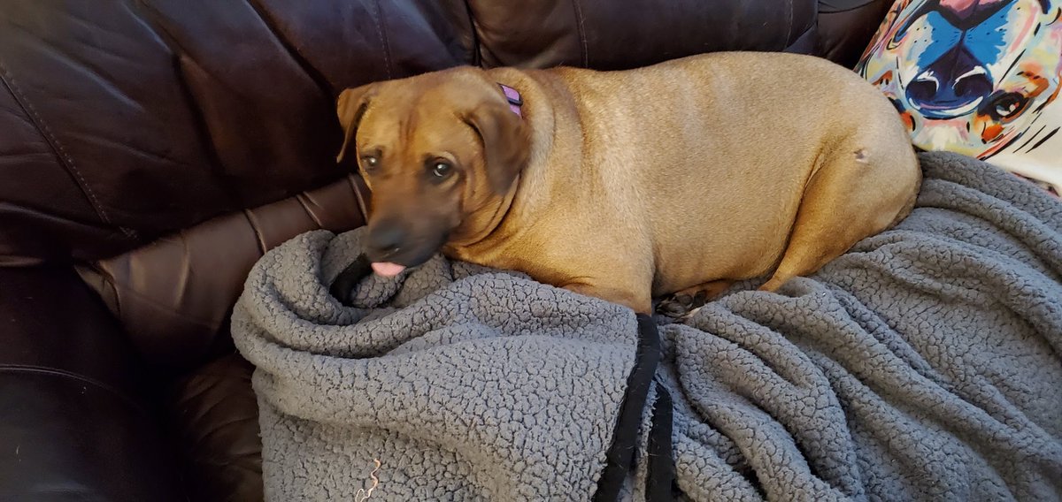 Fae, but also Jordan tweet media