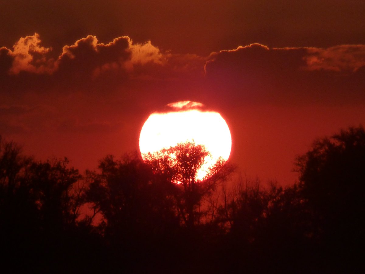 Melchenkov tweet media