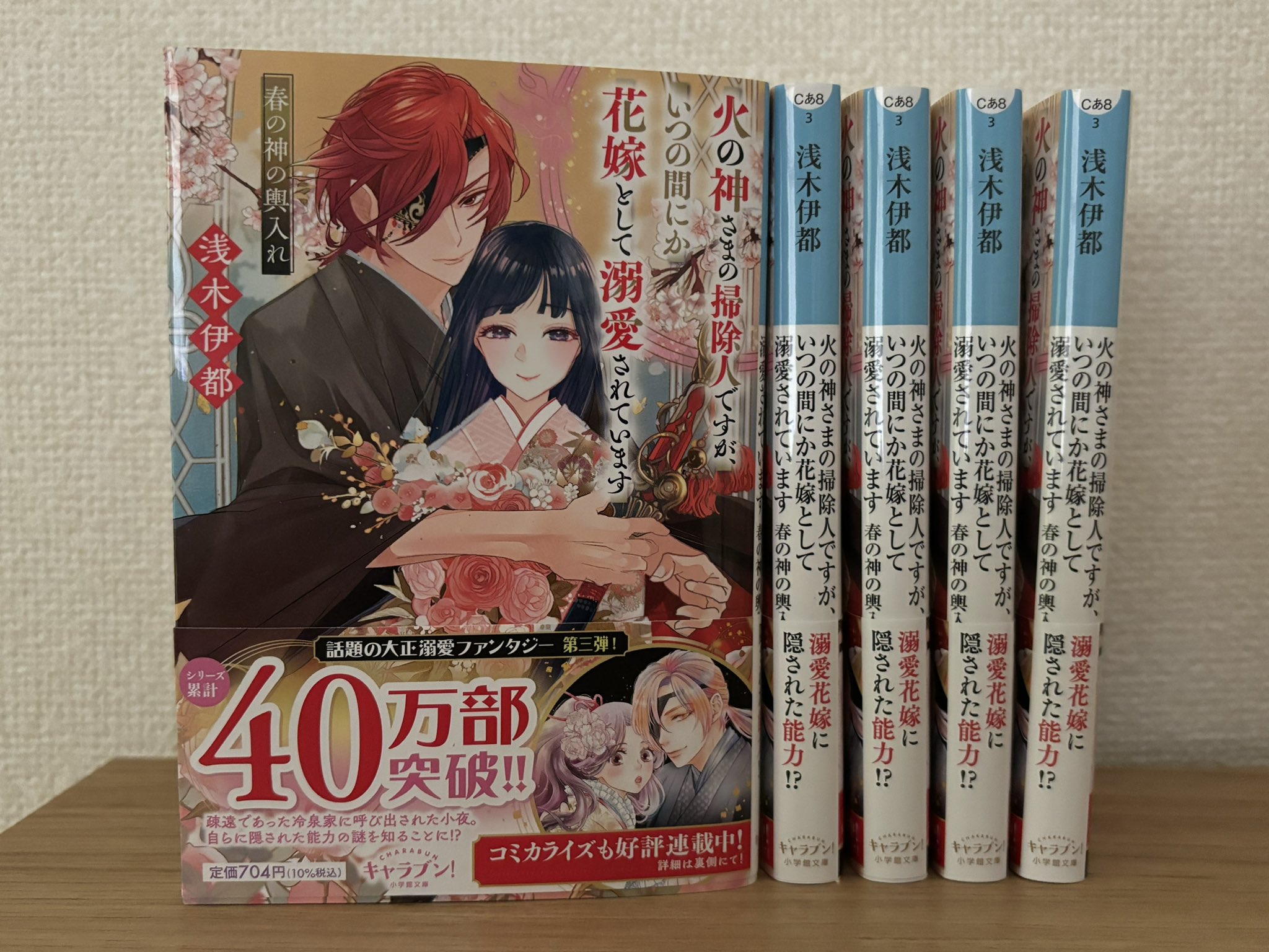 火の神さまの掃除人ですが、いつの間にか花嫁として溺愛されています