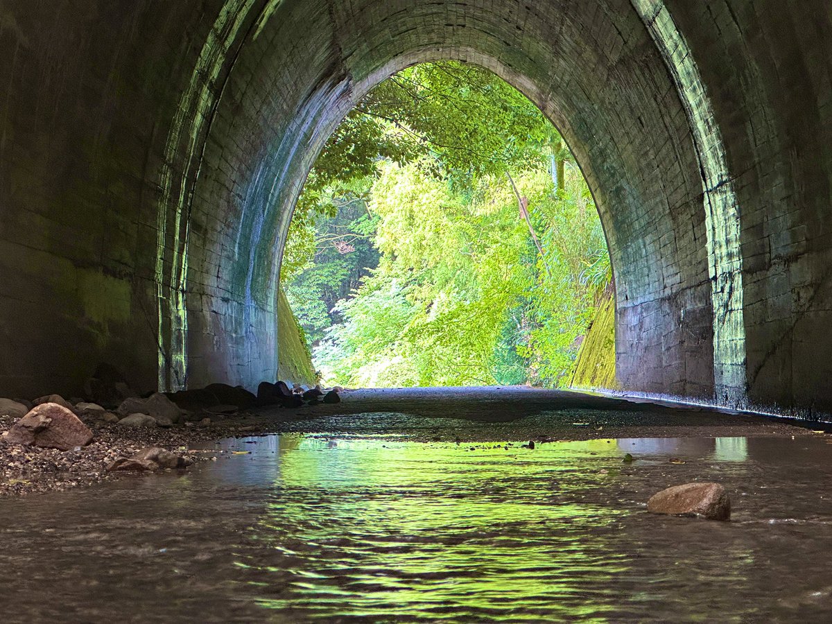 おはようございますなんだニャ🐱 今日は朝から雨模様なんだニャ