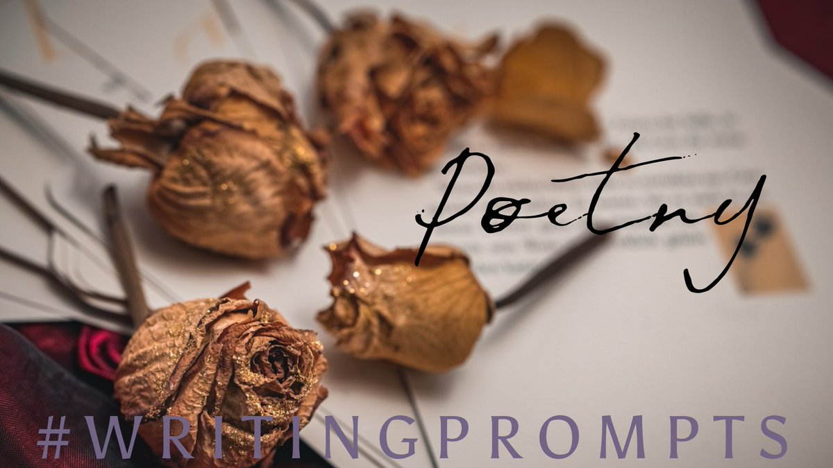 The_Scribblings's tweet photo. Wednesday, October 2nd ~ #Poetry #WritingPrompts 3/3

#LuaViEr ⏬️ Listen
#NALove Beach
#Only8Words Leering Lights
#OurPoetryX Invitation
#QuiteC0ntrary Earn &amp; Spend
#VssPoem Abracadabra https://t.co/Kk4bLMEwb5