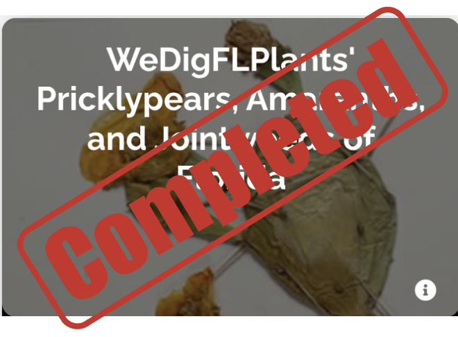 WeDigFLPlants tweet media