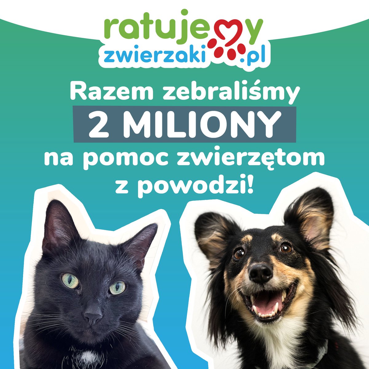 UDAŁO SIĘ! RAZEM zebraliśmy 2 MILIONY zł na pomoc zwierzętom z powodzi! 🐕‍🦺🐱 

👉 ratujemyzwierzaki.pl/powodz-zwierze…

Dzięki Waszym wielkim sercom, setki zwierzaków otrzymają wsparcie, na jakie zasługują ❤️ Dziękujemy za każdą wpłatę, udostępnienie i dobre słowo! Razem możemy więcej! 💪🌊