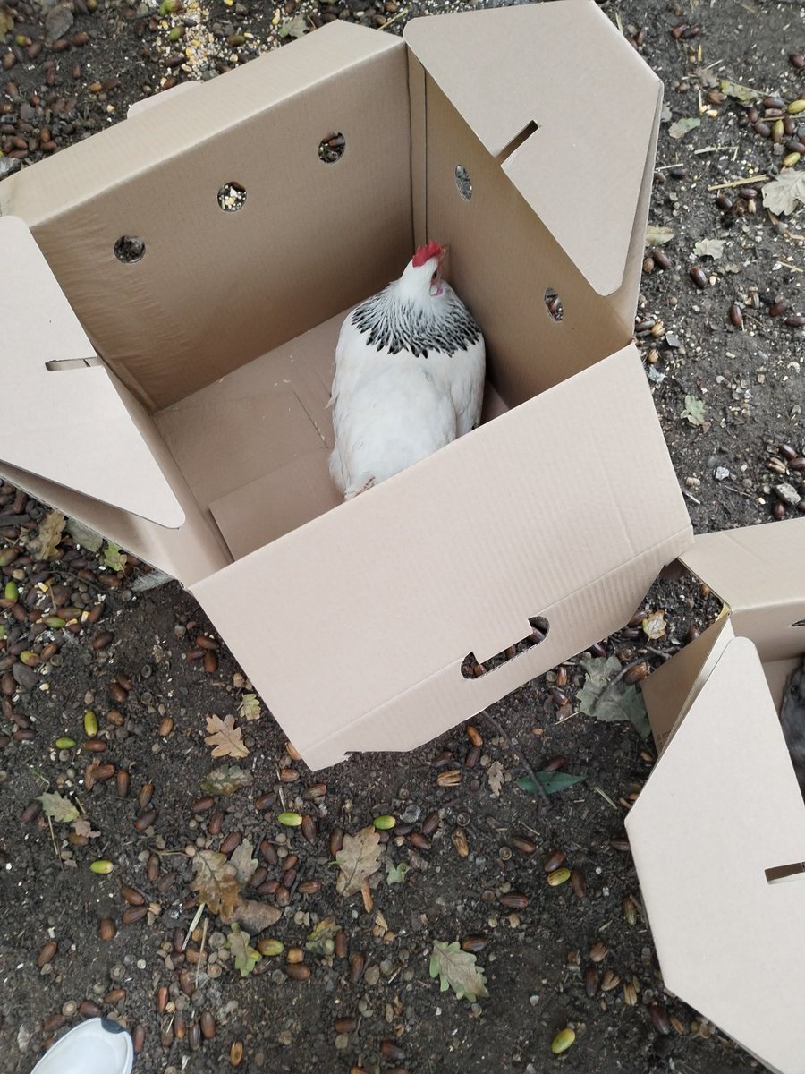 Delphine Toussaint tweet media