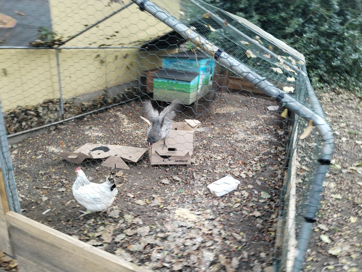 Delphine Toussaint tweet media