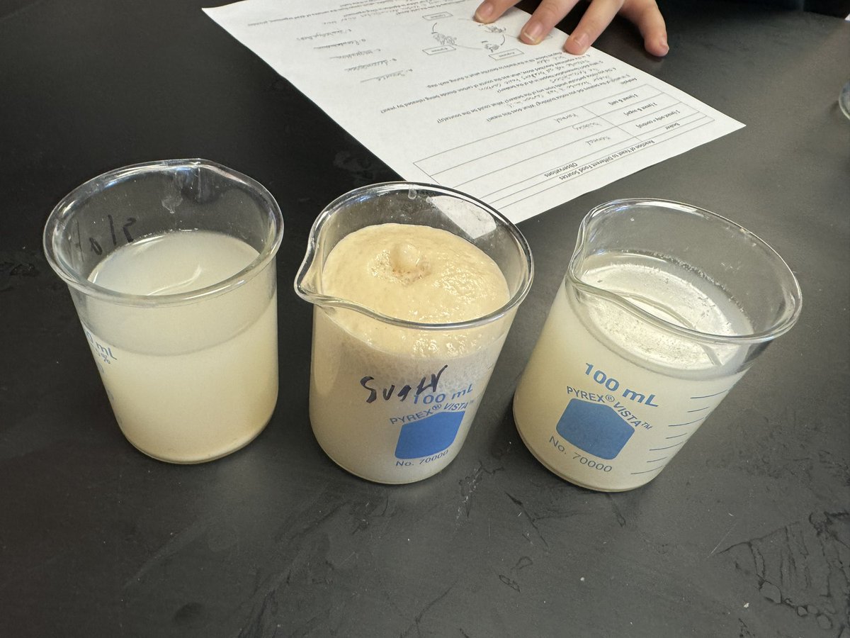 Carbon cycle lab! Beaker 1:  Yeast &amp; water, Beaker 2: salt, yeast &amp; water. Beaker 3: sugar, yeast &amp; water.  Students observed fermentation in action as the yeast decomposed the sugar. Hot water definitely produced more exciting results.