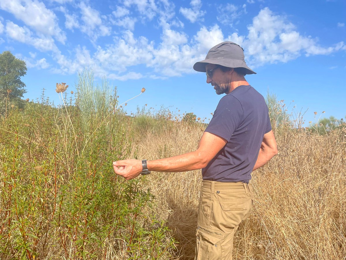 Walking the first enclosure line with Vasco, our Operations Manager 🐘#elephantlove #nature #elephants #elephantsanctuary #Portugal