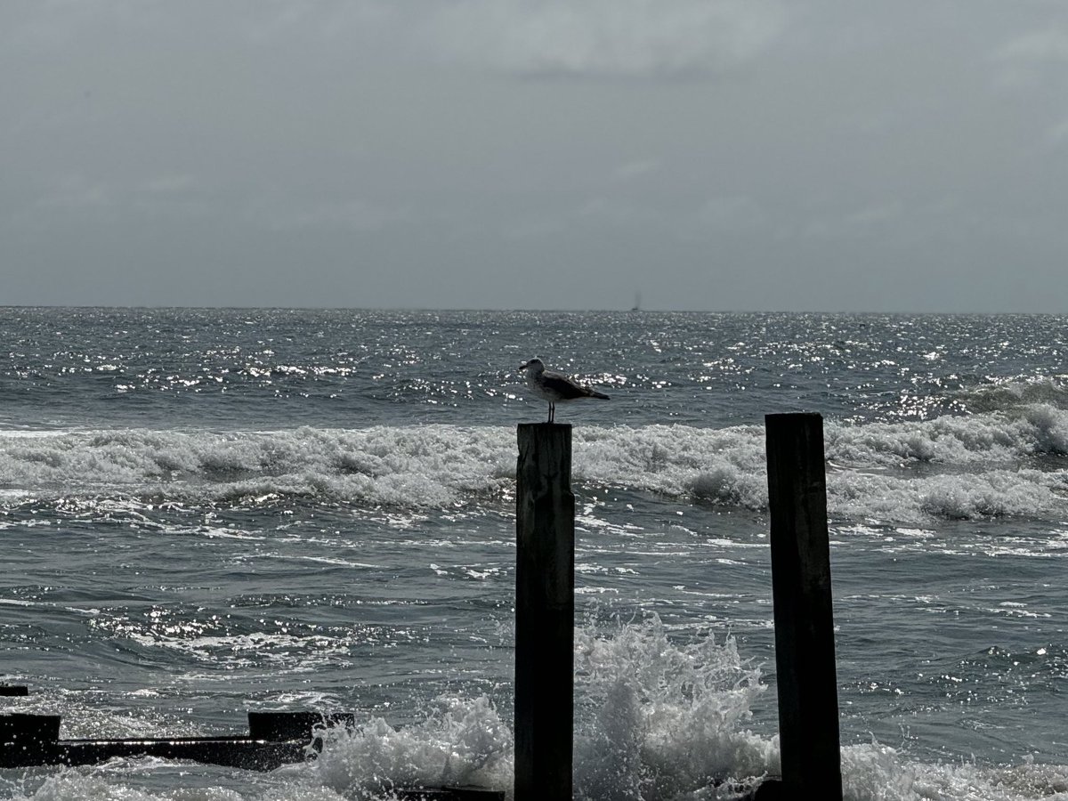 David C. Mills (@davidcmills) on Twitter photo 