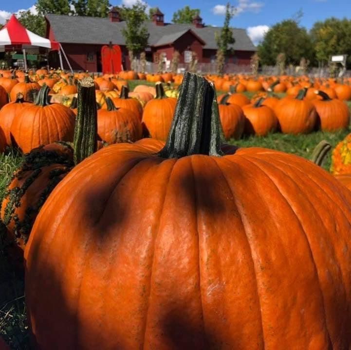 Boston Central tweet media