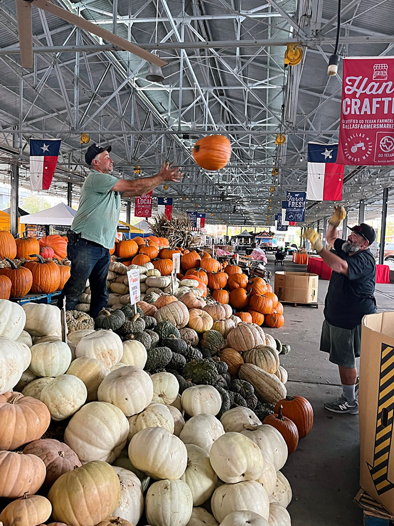 Gourd News! 🎃 - mailchi.mp/dallasfarmersm…