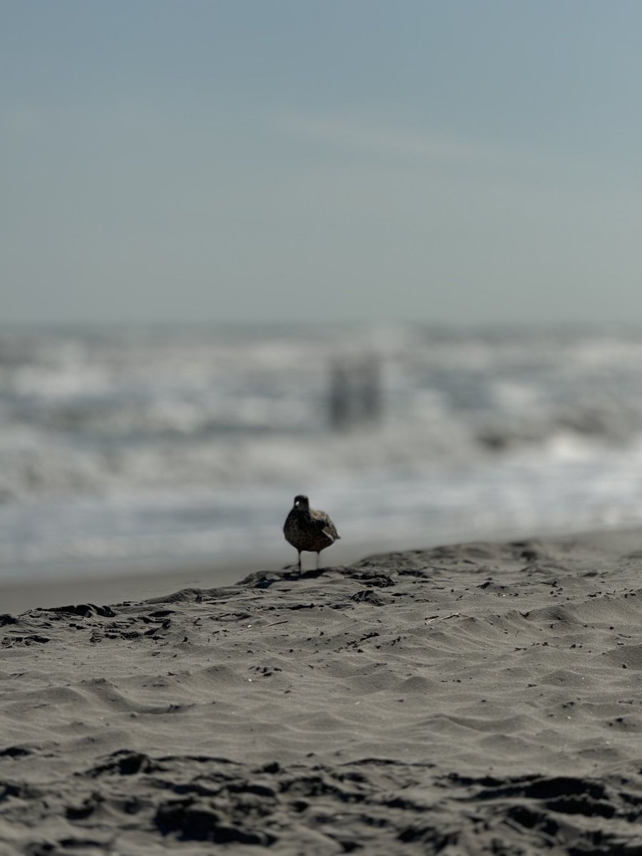 David C. Mills (@davidcmills) on Twitter photo 