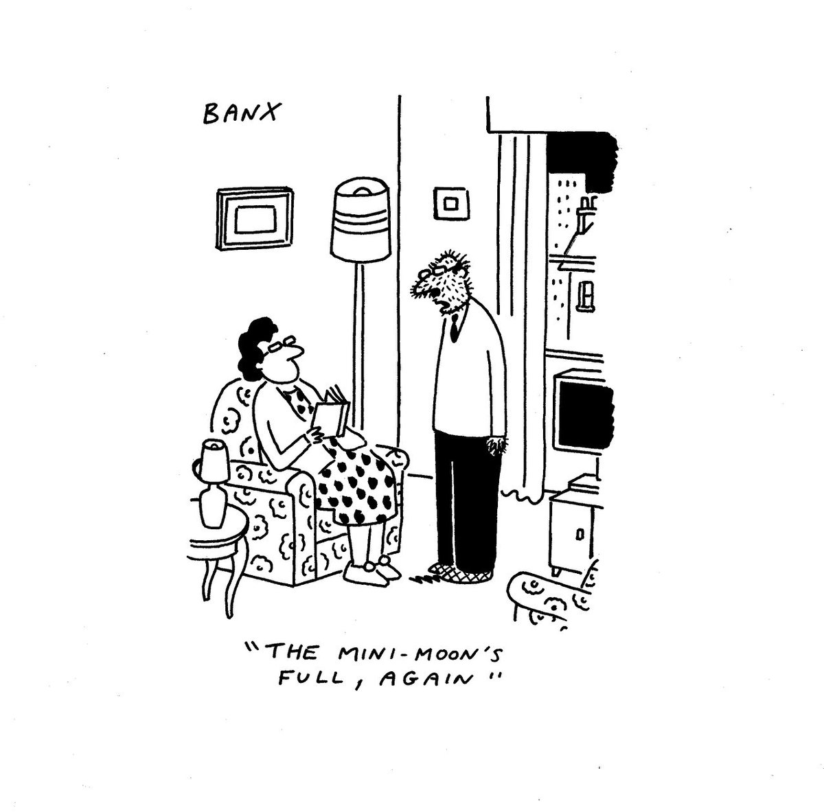 Banxcartoons's tweet image. From today’s ⁦@ftopinion⁩ ⁦@FT⁩ #minimoon