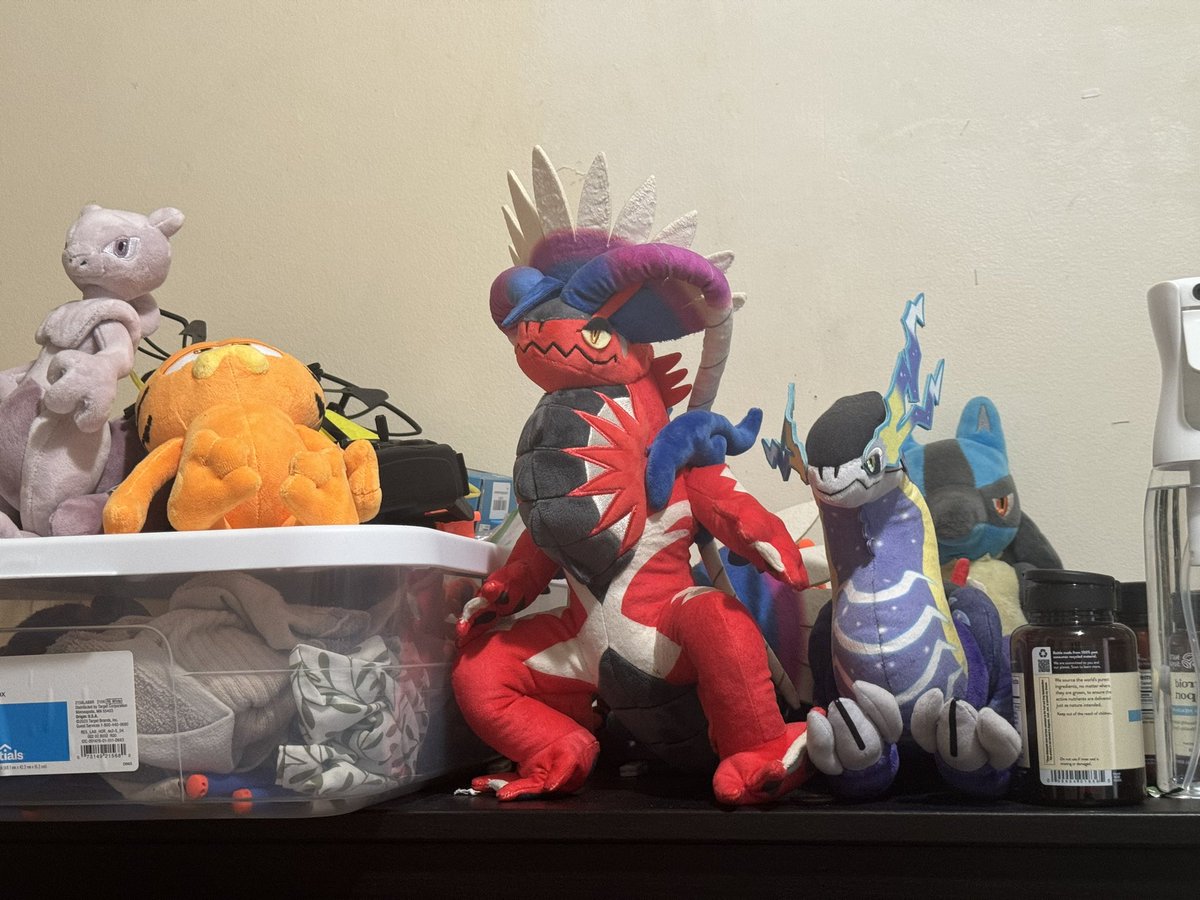 ForeverIsIo's tweet image. My Koradion and Miraidon plush #pokemon #scarlet #Violet #Koraidon #Miraidon #plushies