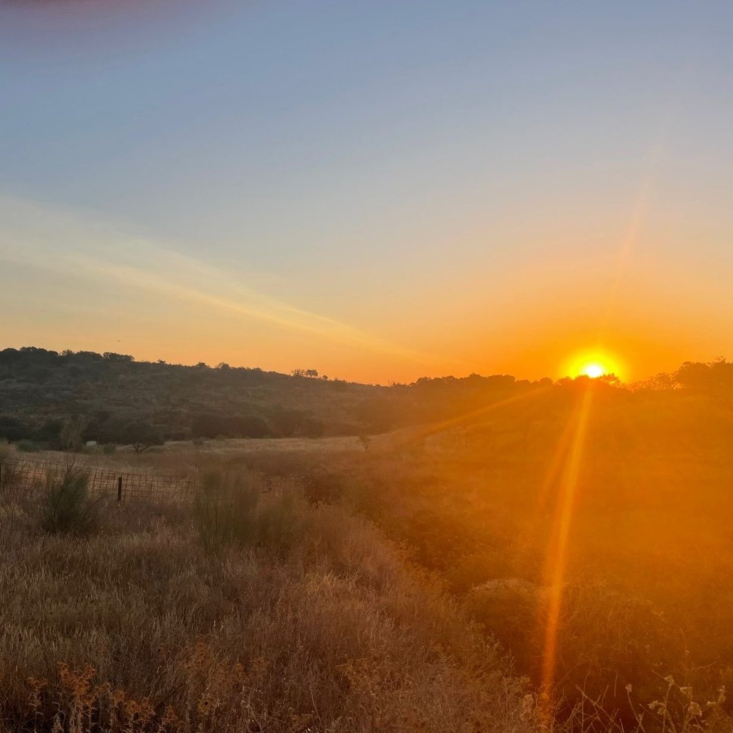 Another beautiful Pangea sunrise! Happy Monday everyone 😍 😎 #sunrise #newweekvibes