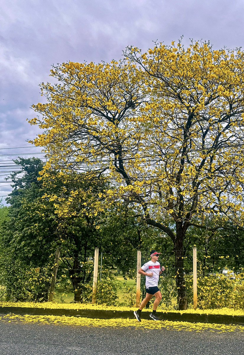 FE11PE's tweet photo. Un día a la vez, solo eso importa.⚡️

#Cucuta #RunLife https://t.co/pfJAU0oPhz