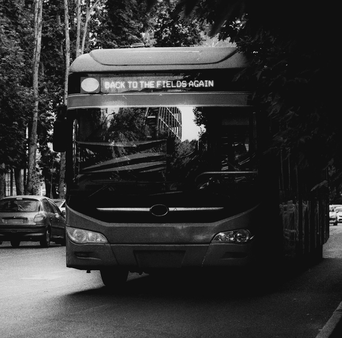 Catfish&theBottlemen tweet media