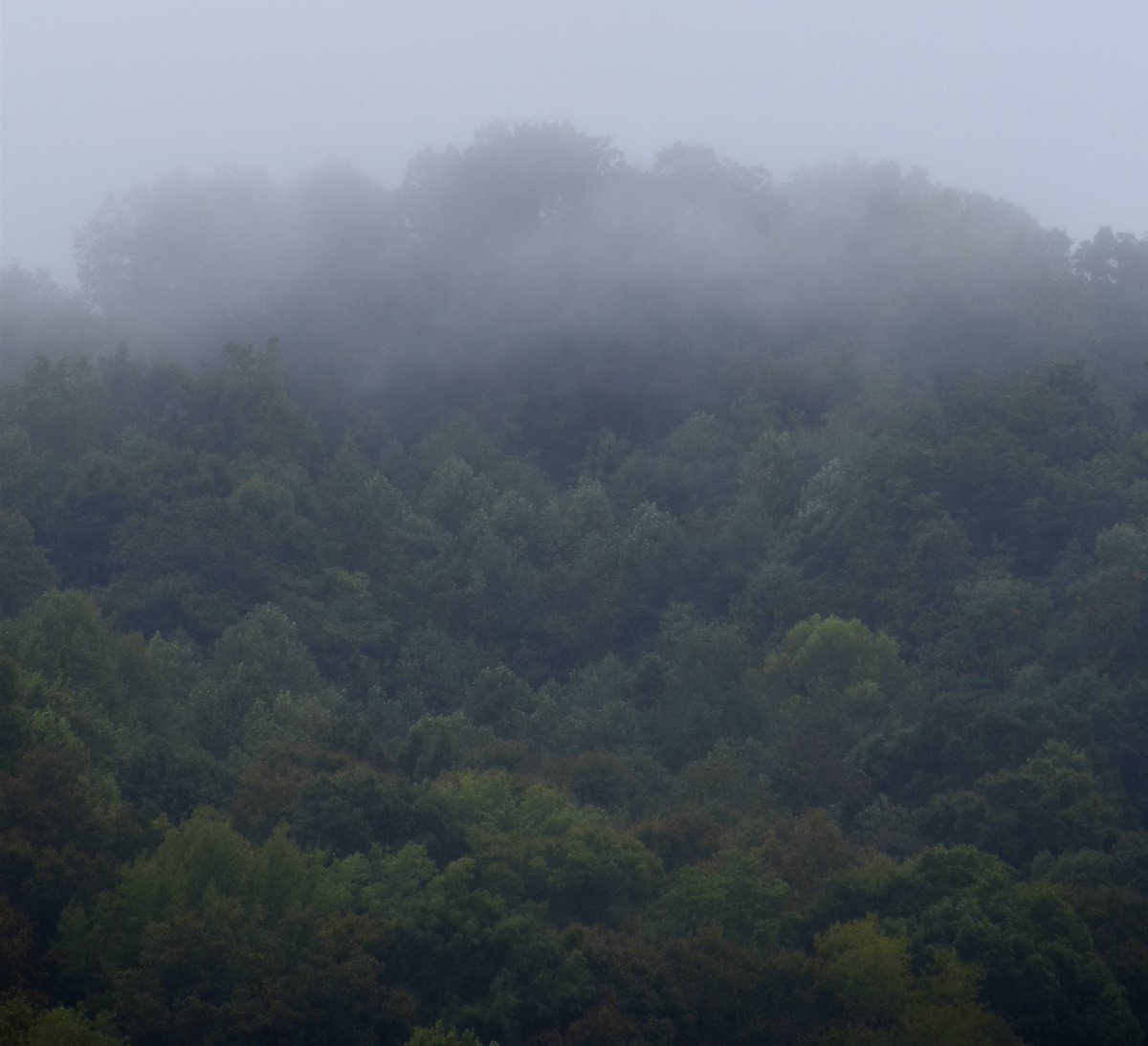 ASISEETHEWORLDPHOTO 🪷 tweet media