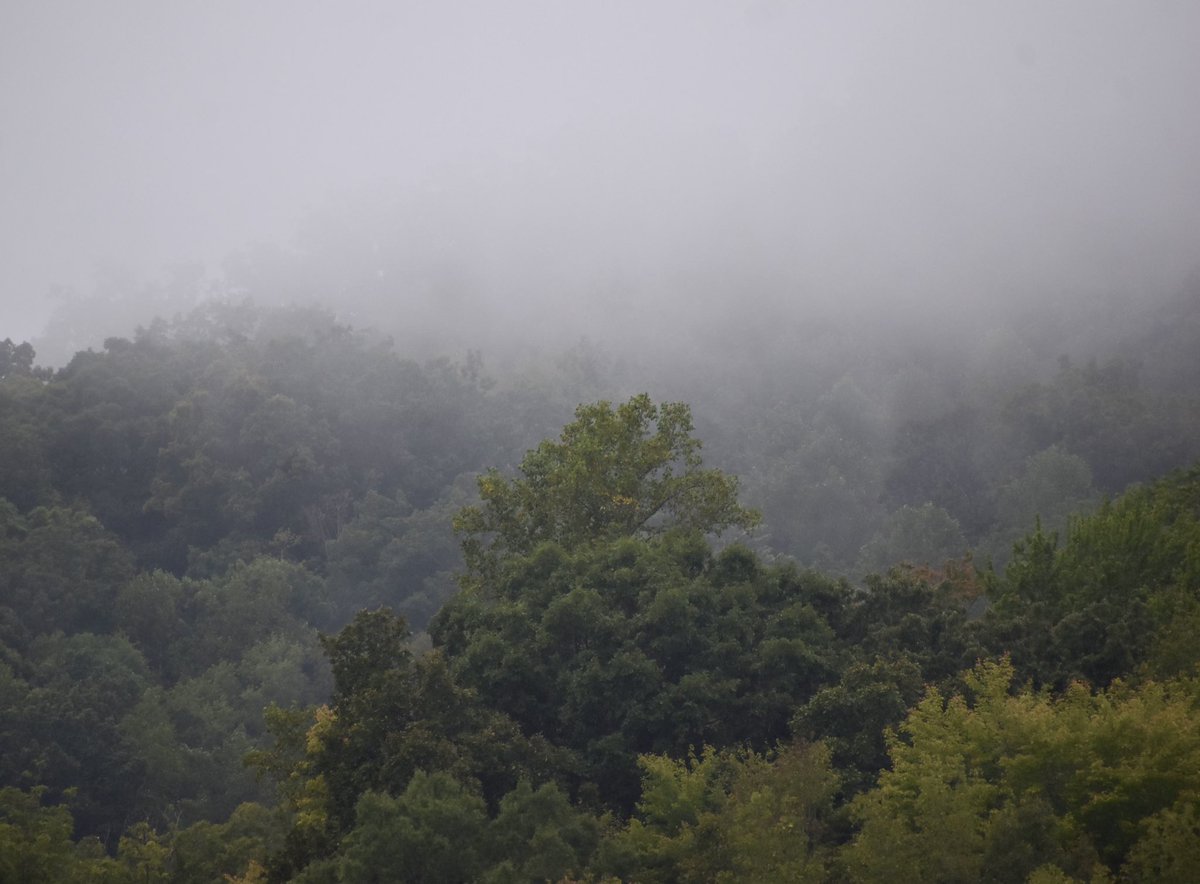 ASISEETHEWORLDPHOTO 🪷 tweet media