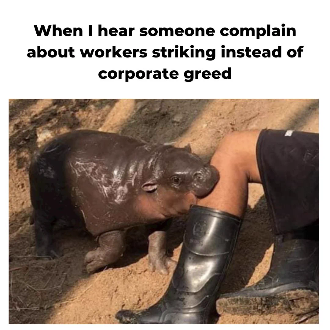 A photo of Moo Deng, the baby hippo, biting someone. Text above the photo reads, "When I hear someone complain about workers striking instead of corporate greed."