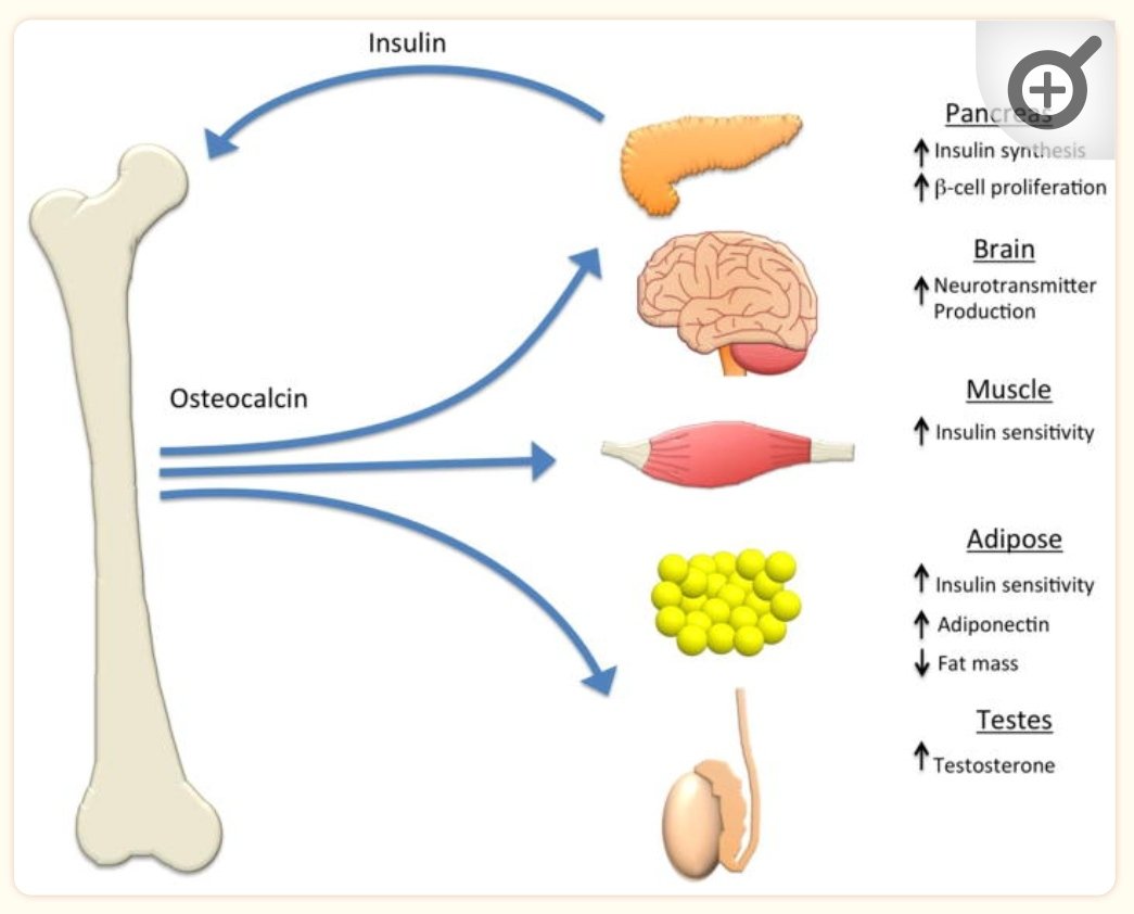 LCSensibility's tweet photo. So what about vitamin D and all that calcium?

https://t.co/vNCPfkarn0 https://t.co/Vtxp4Guruo