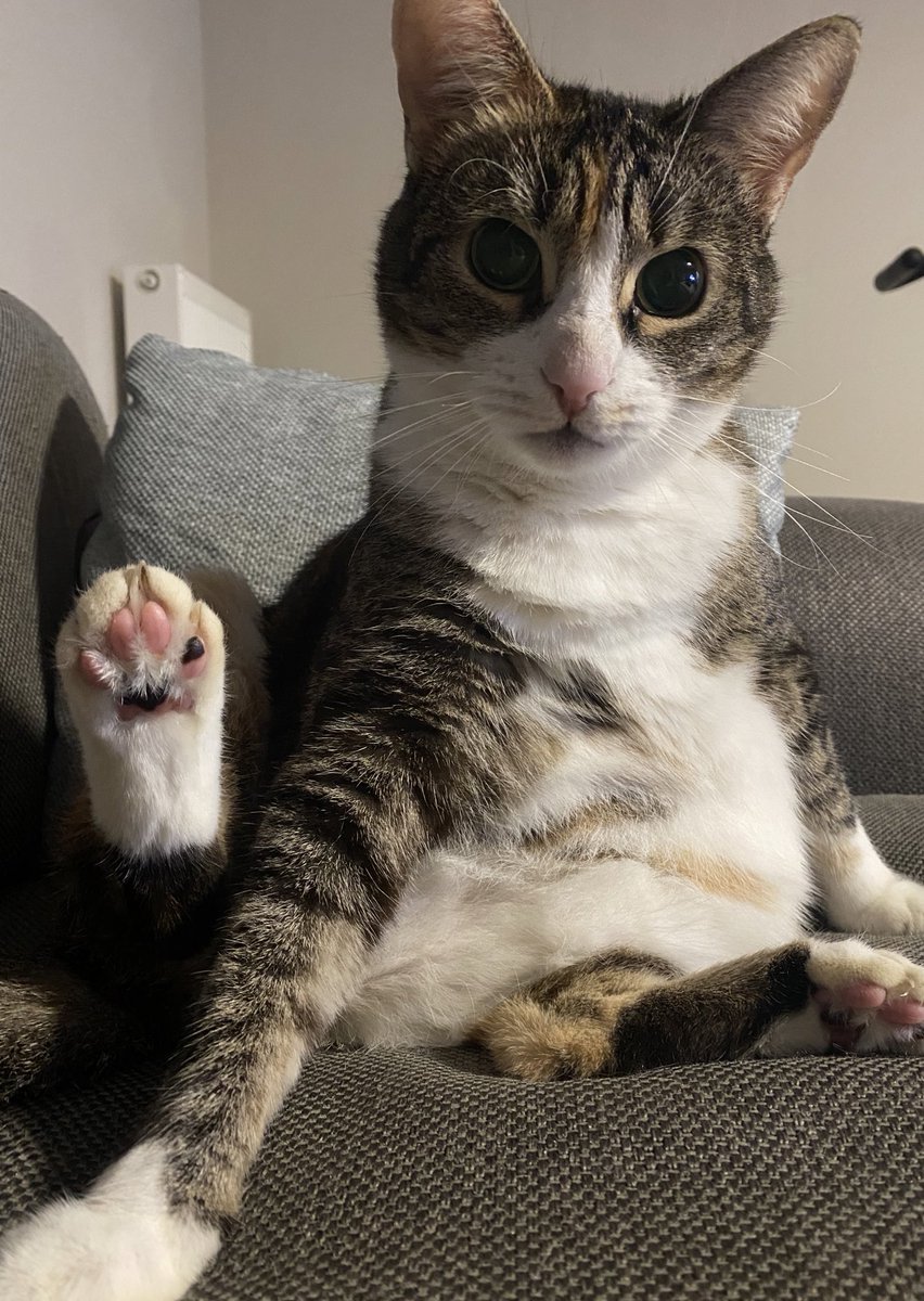 Örtmenim bişi sora bilirmiyim