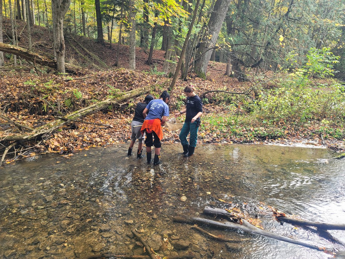 Etobicoke Outdoor Education Centre (@eoec_tdsb) on Twitter photo Robert Service students assessing the health of a cold water stream through the identification of keystone species and using our deer ears to take in all the sensational sounds of Centerville creek ...EOEC, what a cool place to be at! #CentervilleCreek #StudyStream #CreekStudy Robert Service students assessing the health of a cold water stream through the identification of keystone species and using our deer ears to take in all the sensational sounds of Centerville creek ...EOEC, what a cool place to be at! #CentervilleCreek #StudyStream #CreekStudy