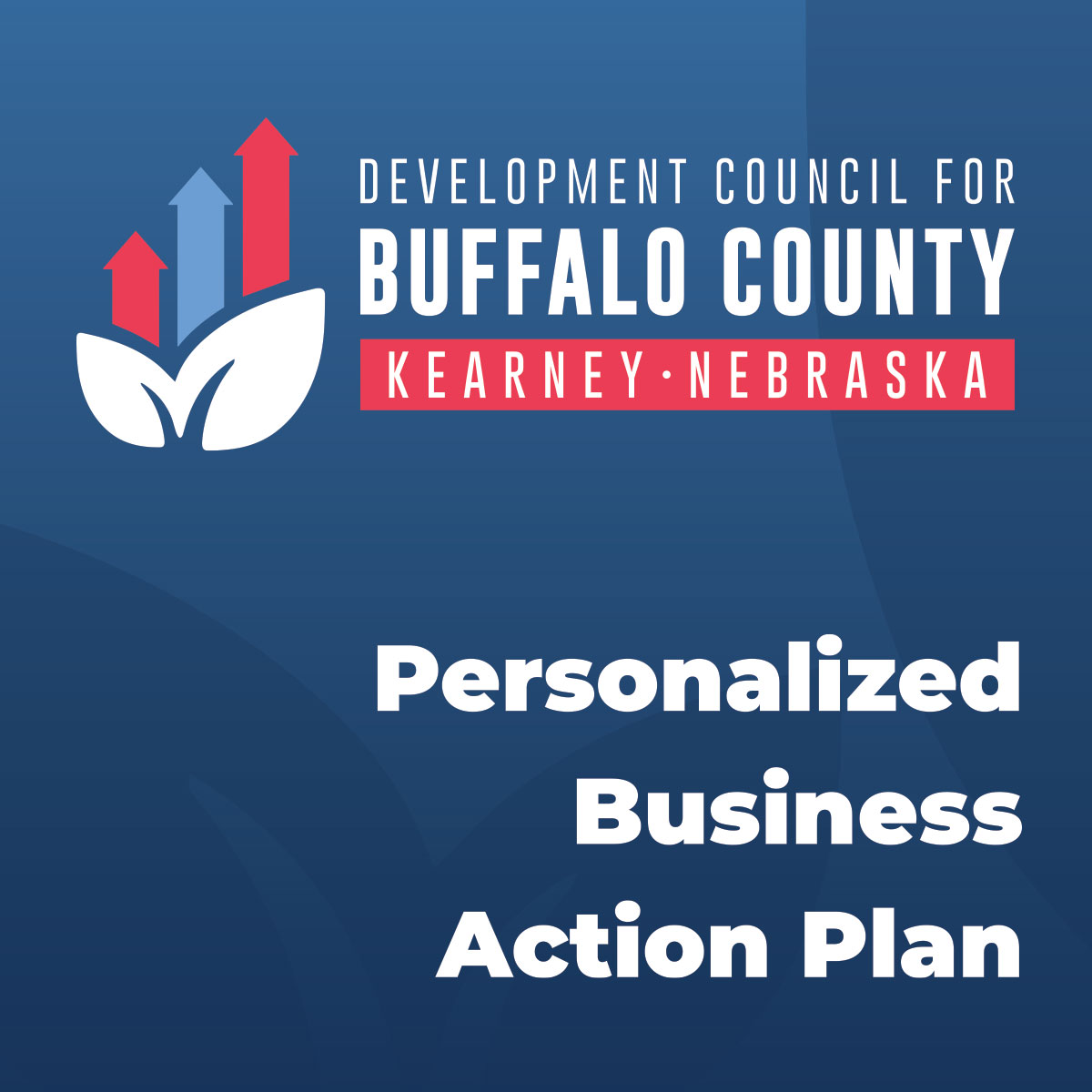 Development Council for Buffalo County tweet media