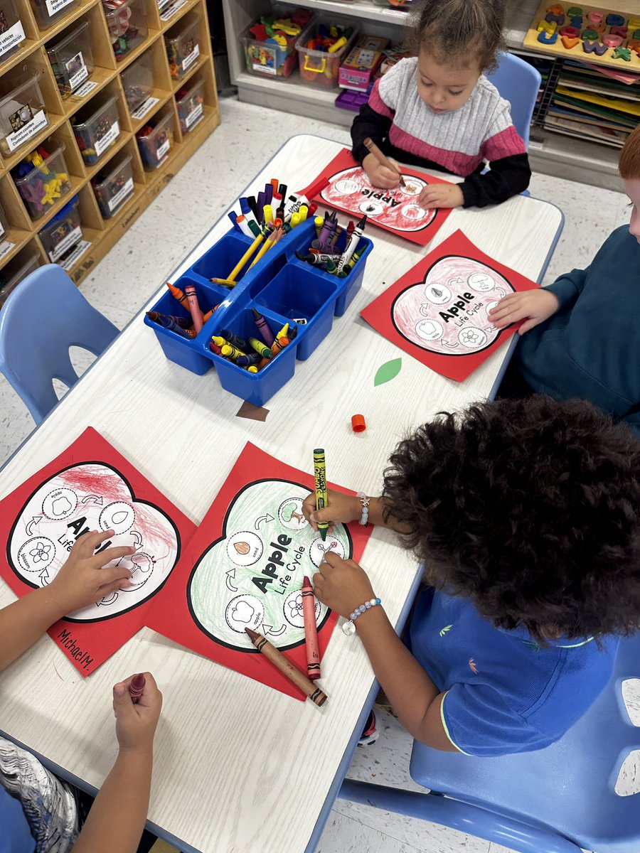 Ms. Ferrante tweet media