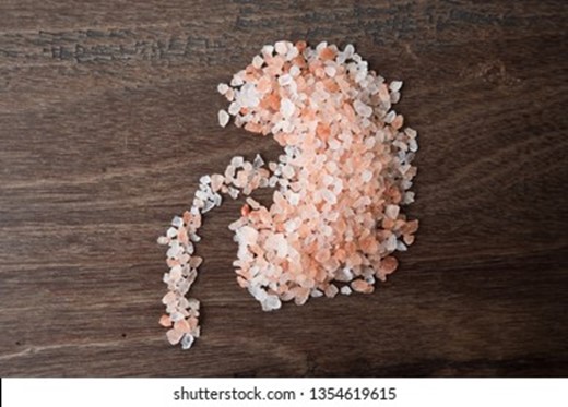 This week on the #ISpyPhysiology blog, APS member <a href="/Cailin_Kellum/">Cailin</a> tells us how too much salt affects the kidneys: ow.ly/eWJk50TBziu