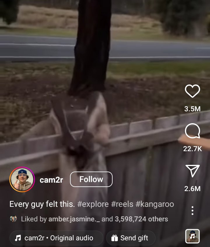 Social1M's tweet photo. I will be checking myself into the ER within 45 seconds If my nuts ever get caught in a fence https://t.co/1zah84CAn0