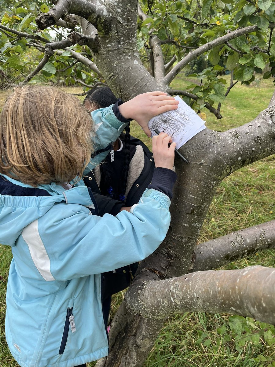 Leith Primary School (@leith_primary) on Twitter photo P4 had a great afternoon at the Children’s Orchard with the <a href="/GreenTeamEdin/">The Green Team</a> learning about growing sustainable produce #leithp4 #outdoorlearning #Article27 #RRS P4 had a great afternoon at the Children’s Orchard with the <a href="/GreenTeamEdin/">The Green Team</a> learning about growing sustainable produce #leithp4 #outdoorlearning #Article27 #RRS