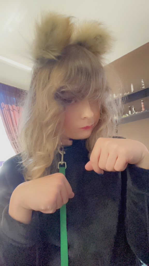 Femgirl_Fishing's tweet photo. Put puppygirl estrogen in the water supply, fishgirl becomes puppygirl. Many such cases https://t.co/XLRZRiojNr