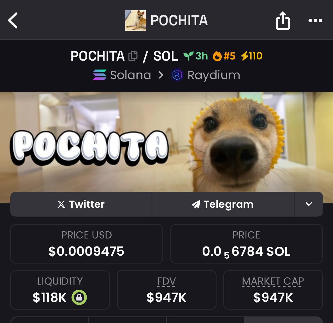 So there is $pochita 

Here we go again.   This time, let both communities win- it’s enough to go around!  

I hedged.