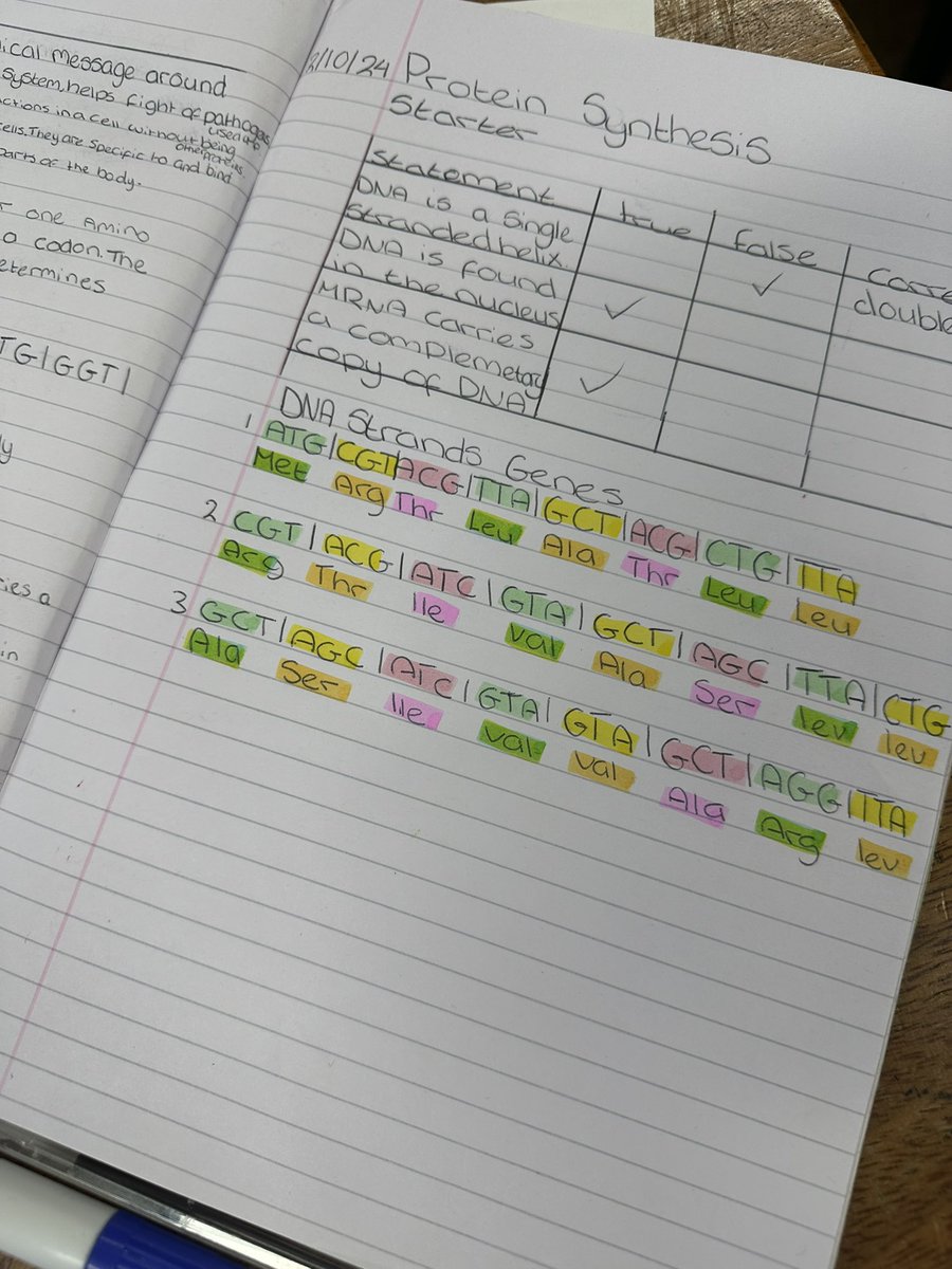 MissDownie2's tweet photo. National 5 biologists and my S3s both explored protein synthesis today. They were given DNA strands which they had to organise into codons and translate into amino acids before finally building their protein using play doh 🔶🟡🔻 https://t.co/SDg6PYisNK