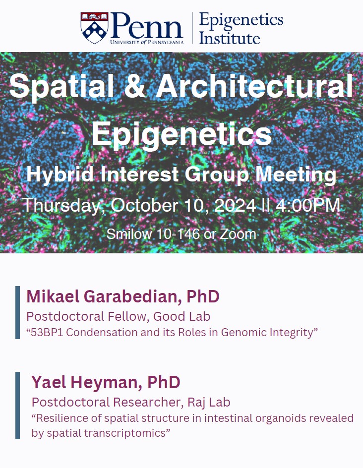 Coming up on Thursday 10/10, join us at 4PM in Smilow 10-146 or online for the Spatial &amp; Architectural Epigenetics Interest Group Meeting featuring Mikael Garadebian from the Good Lab and Yael Heyman from the Raj Lab! <a href="/buenoscience/">Matthew C. Good</a> <a href="/arjunrajlab/">Arjun Raj</a>