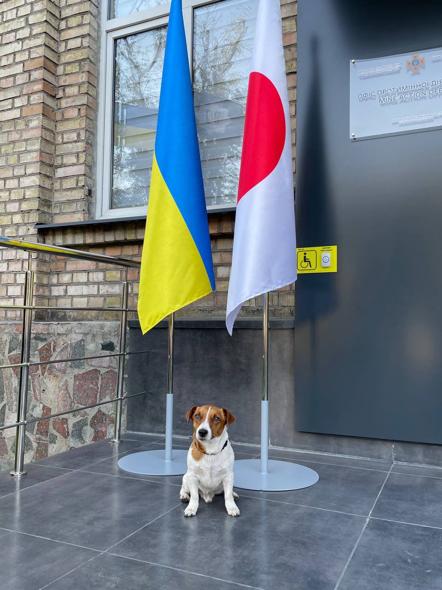 PatronDsns's tweet image. I look sad in this photo because my great friend, and a friend of all Ukraine, the Ambassador of Japan to Ukraine, Mr. Matsuda Kuninori, is completing his diplomatic mission here. This means that we won’t see each other again anytime soon. 😞
I would like all of you to get to…