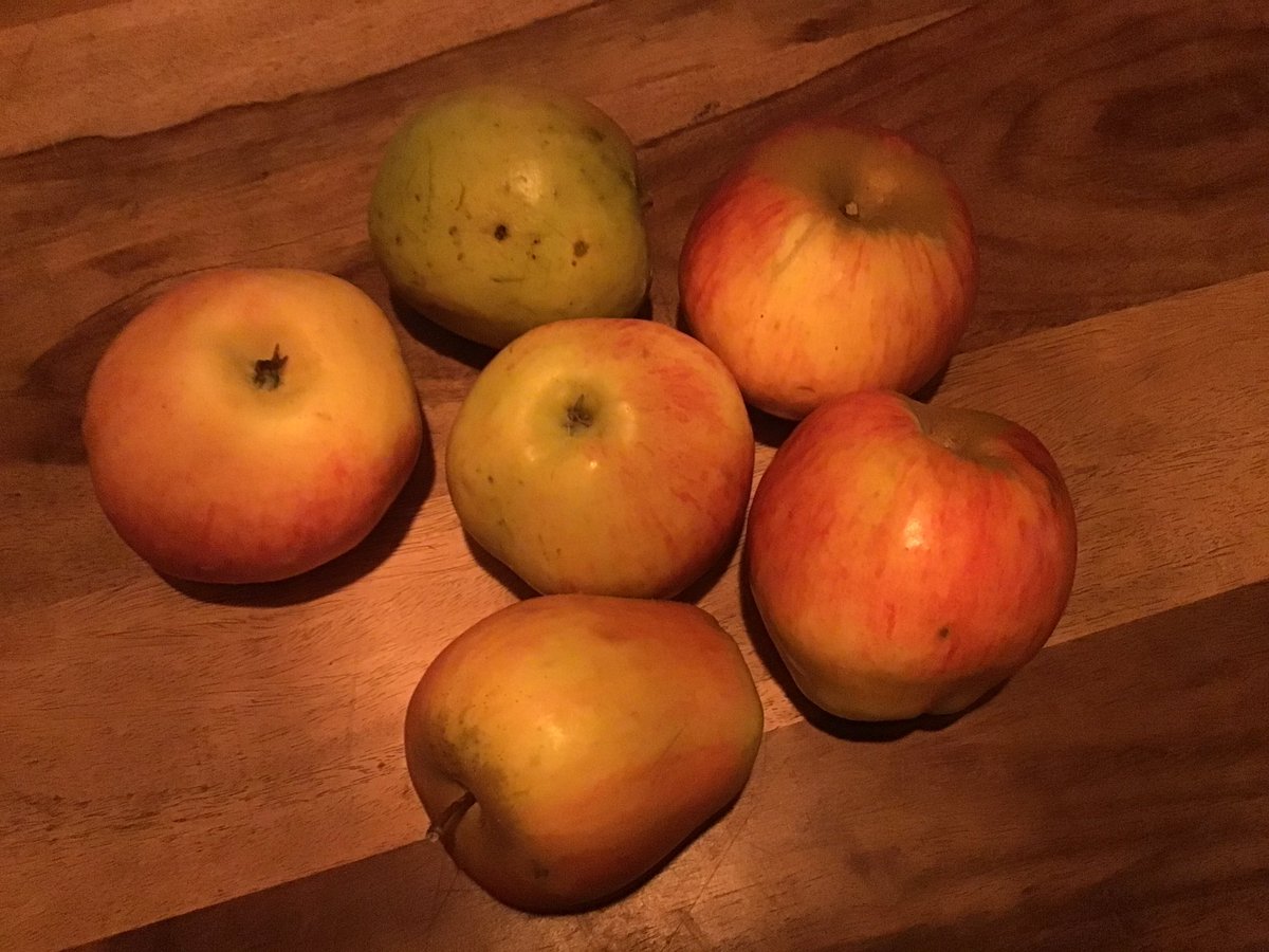 TuinGriet tweet media