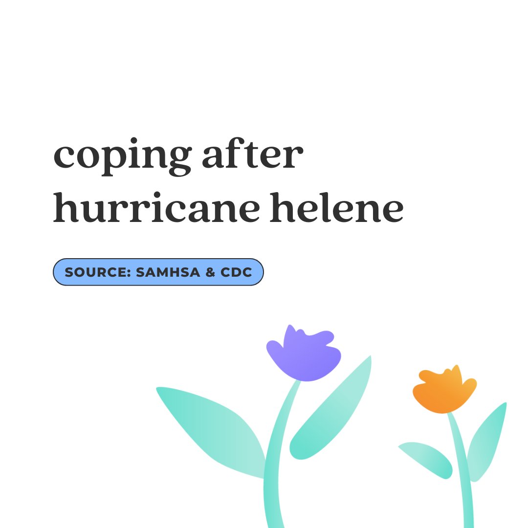 Let's Talk Tampa Bay tweet media