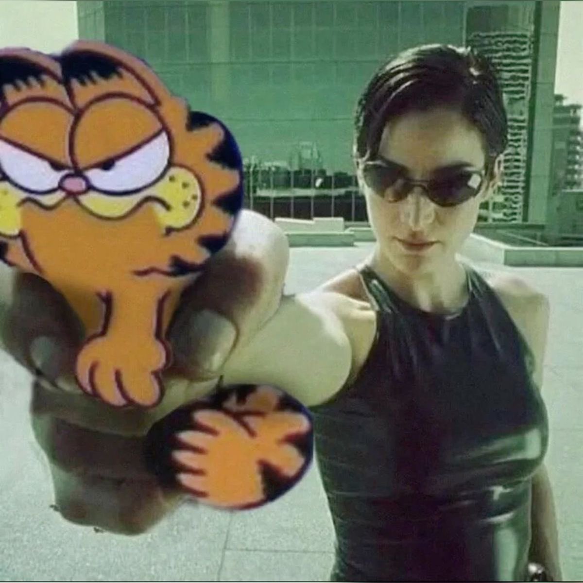 Content from garfgrrrl