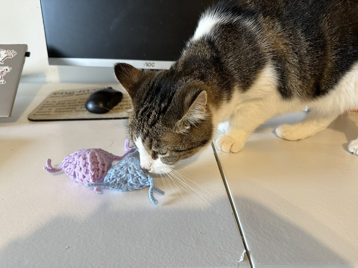 Shulan Xiao tweet media