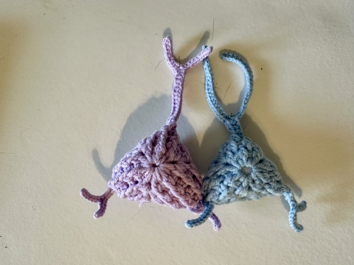 Shulan Xiao tweet media