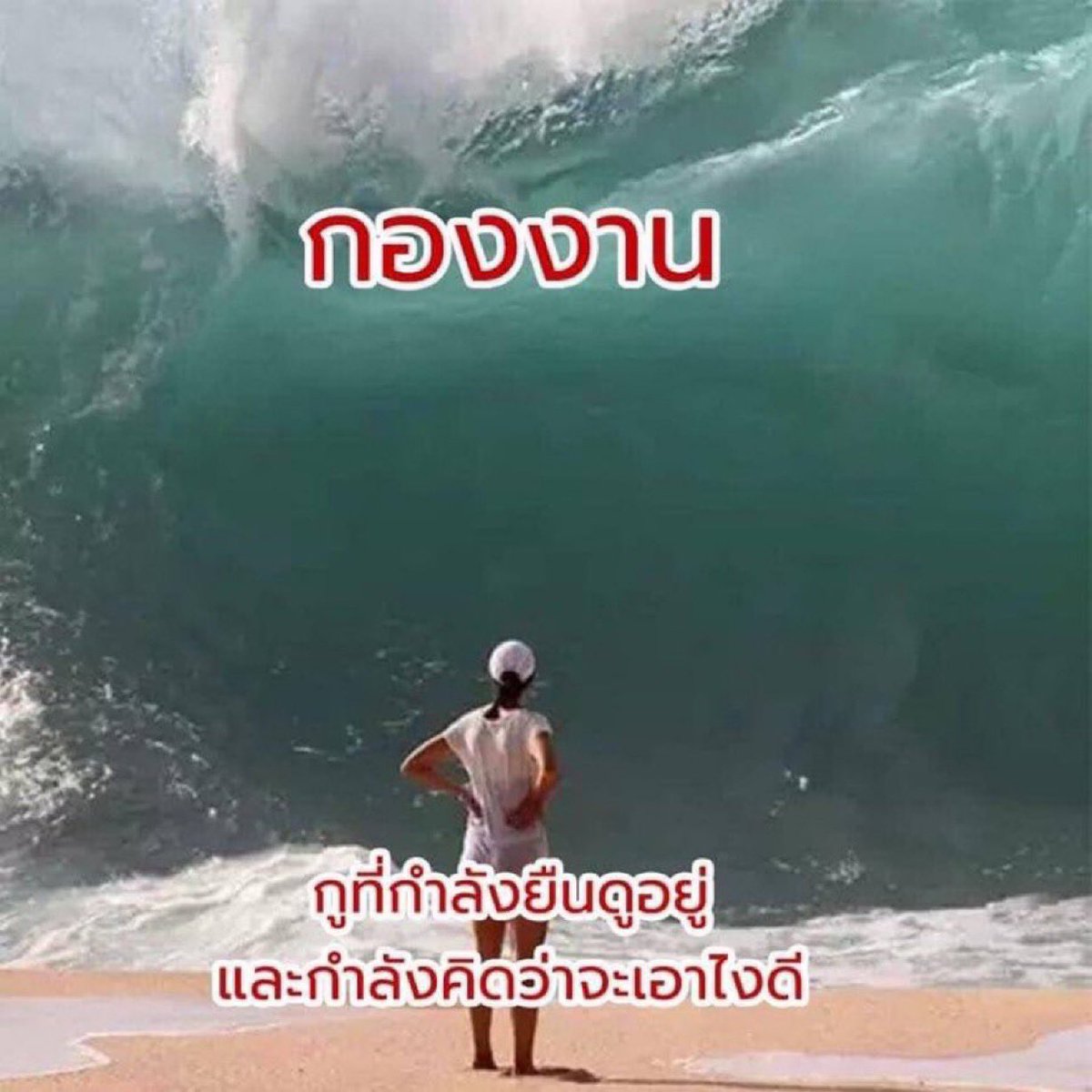 ช่างแม่ง🐰🏳️‍🌈 tweet media