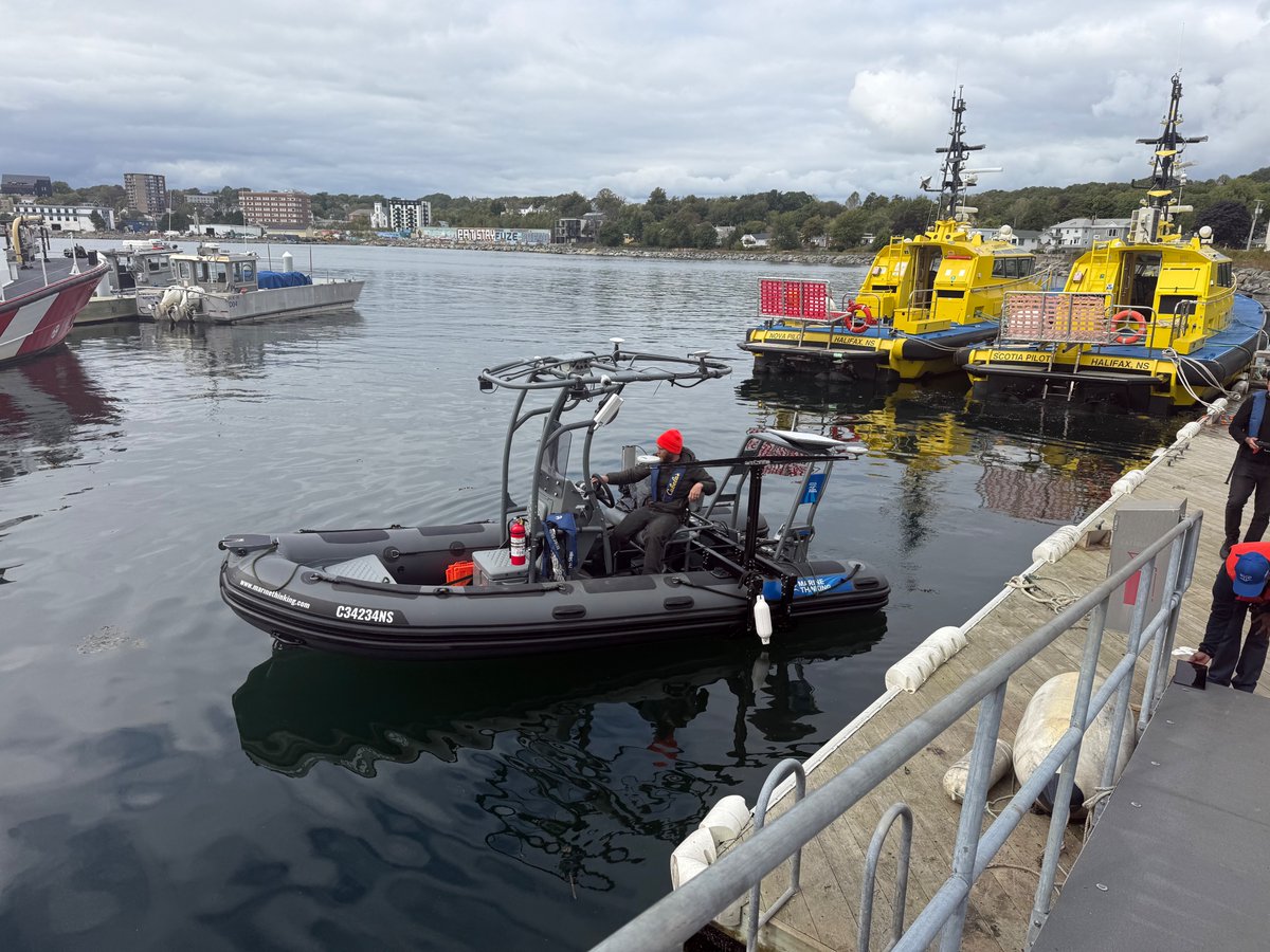 Marine Thinking tweet media