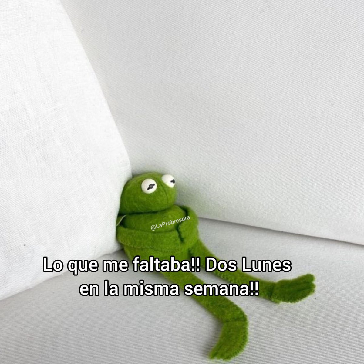 MexicoMagico's tweet photo. https://t.co/kJ9tDFYJSs