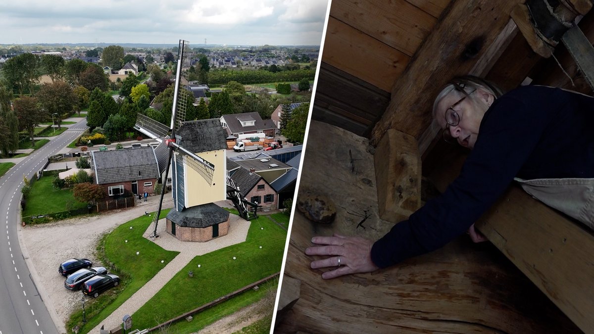 Historische molen op instorten door vraatzuchtige houtworm ogld.nl/eQQE