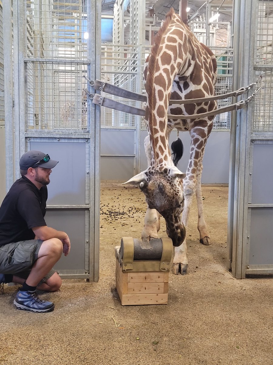 Oklahoma City Zoo and Botanical Garden tweet media